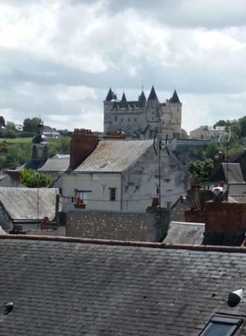 Appt 2Eme Etage Sur L'Ile De Saumur Exteriör bild